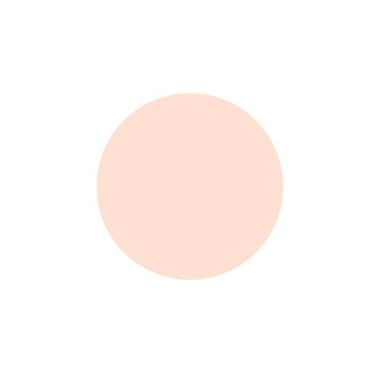 REVLON PHOTOREADY CANDID FOUNDATION 110 PORCELAIN